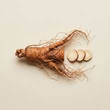 ligera-ing-ginseng